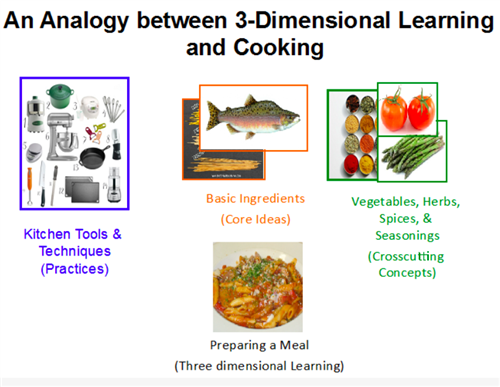 The Three Dimensions of the NGSS The Three Dimensions of the NGSS